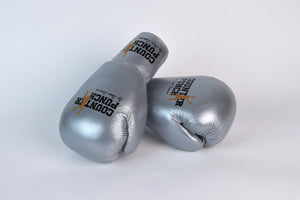 Special Edition Pro Boxing Gloves [10oz Silver]