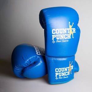 Pro Boxing Gloves [8oz]