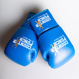 Pro Boxing Gloves [8oz]