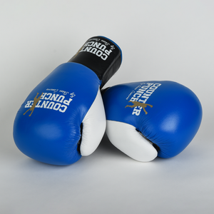 Blue Professional Boxing Gloves