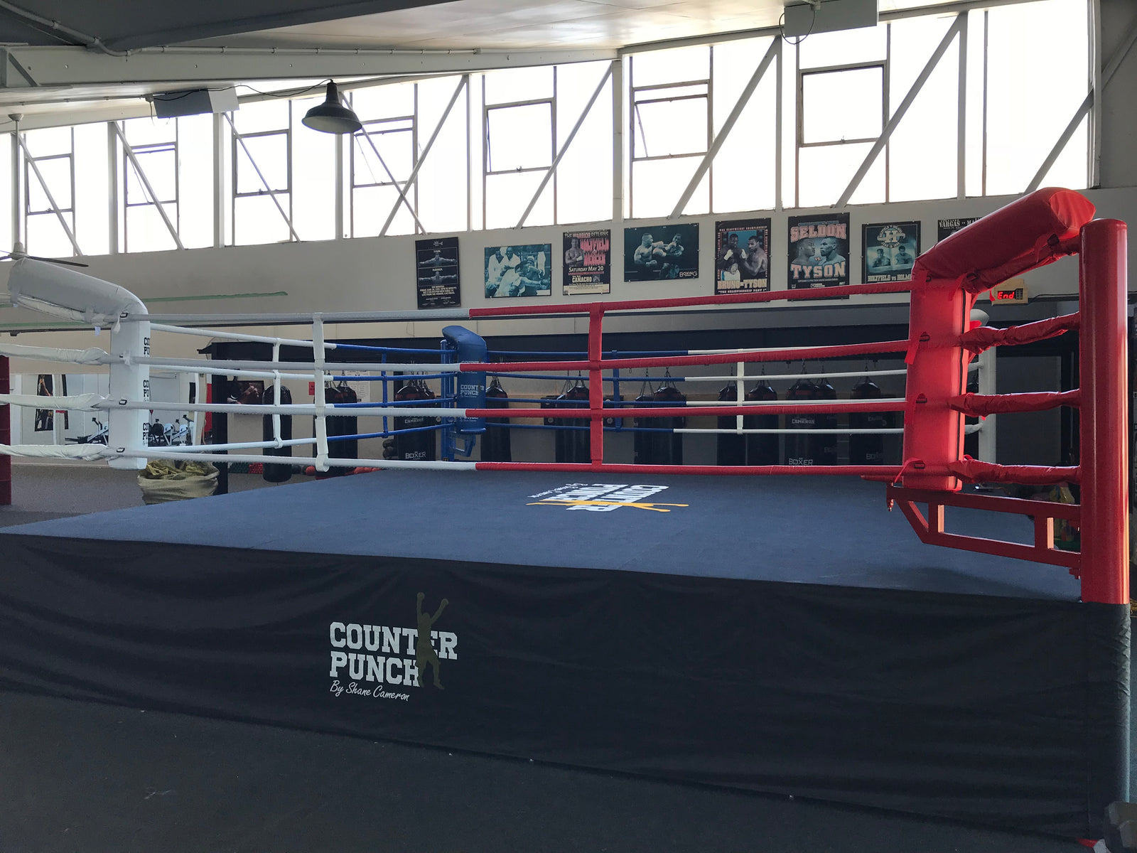 Counterpunch 'Canvas' for raised 6m x 6m Ring (black)